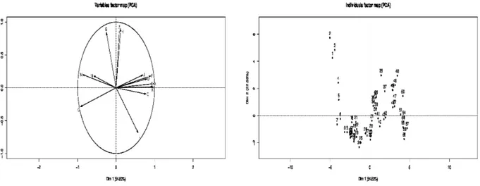 Figure 3.2 – Graphe des individus et cercle de corrélation (Maroc)