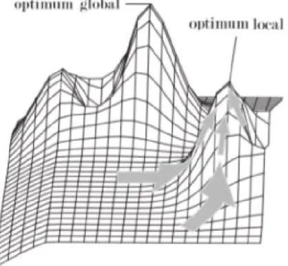 Fig. 3.1: - Optimum Global et Optimum Local