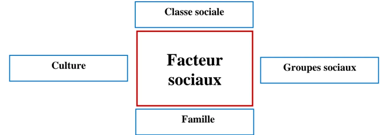 Figure N°9 : Les facteurs sociaux 