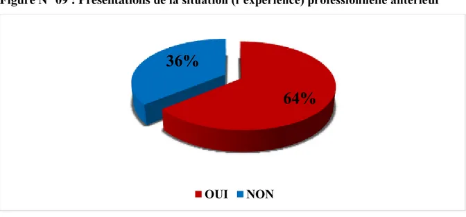 Tableau N°11: La situation professionnelle antérieure 