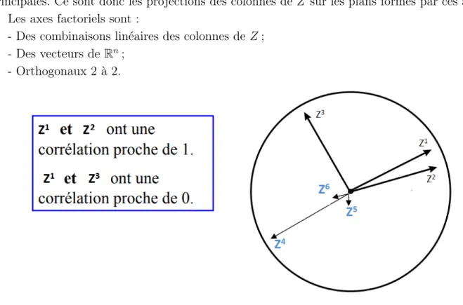 Figure 3.1 – cercle des correlations
