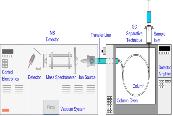 Figure 06 : Schéma représentant l’appareil de GC/MS (Sayed Zameer et Khushnuma, 2007).