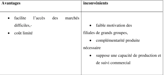 Tableau 10:avantages et inconvénients du portage ou le parrainage 