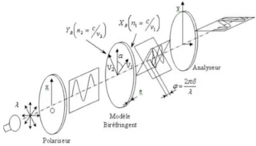Figure I.1: Schéma de principe de la photoélasticimétrie plane par réflexion [2]  I.3.1 Polariseurs et  Analyseurs  