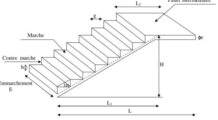 Figure III.28 : Coupe verticale de l’escalier 