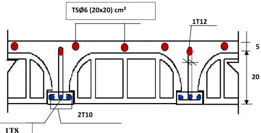 Figure 3.15 : ferraillage du plancher en corps creux