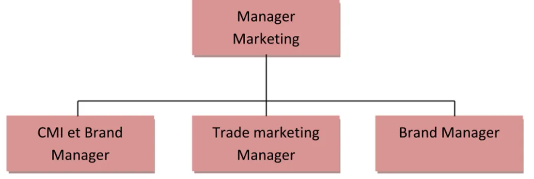 Figure N°06: Organigramme représentant la direction marketing de Tango 