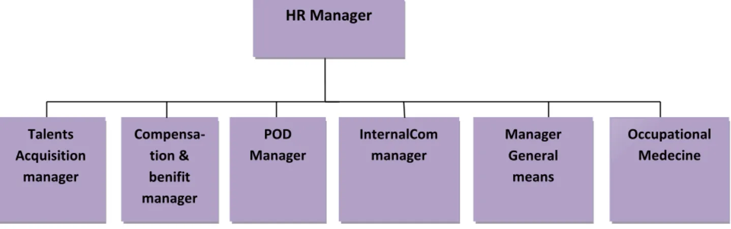 Figure N°10 : Organigramme représentant la direction des ressources humaines.  