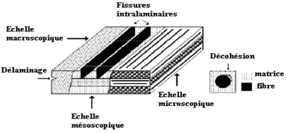 Figure III.1: Les différentes échelles d’observation de l’endommagement: illustration sur un matériau