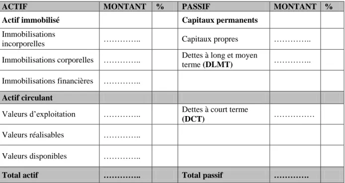Tableau N°06 : Bilan financier en grandes masses 