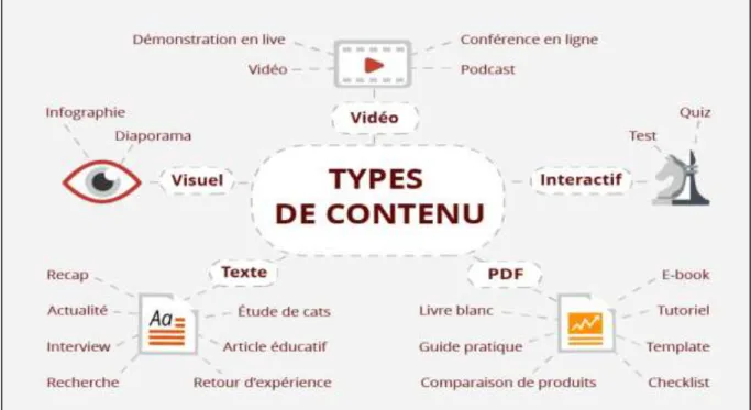 Figure 05 : Types de contenu 