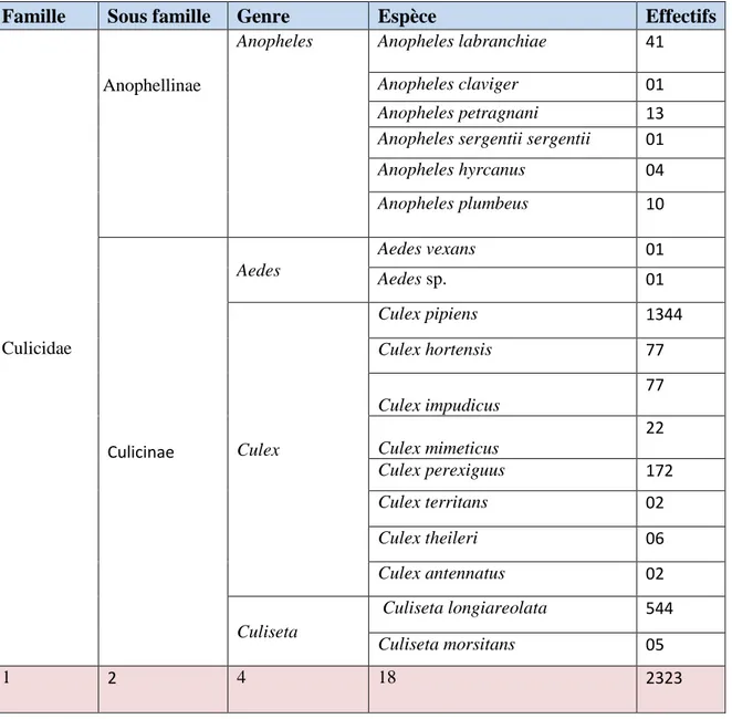 Tableau 04 : Inventaire global des espèces de Culicidae recensées dans les régions d’études