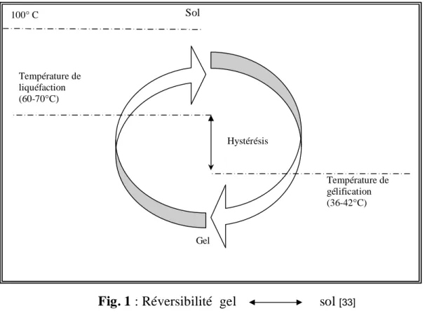 Fig. 1 : Réversibilité  gel                        sol  [33]Température de liquéfaction (60-70°C) Hystérésis   Température de gélification (36-42°C) 100° C       Gel  Sol 
