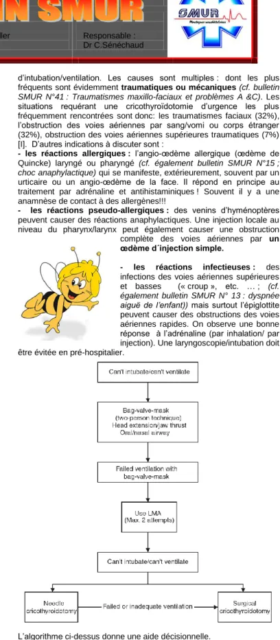 Fig.  I :  Illustration de  structures  cartilagineuse  du larynx. 