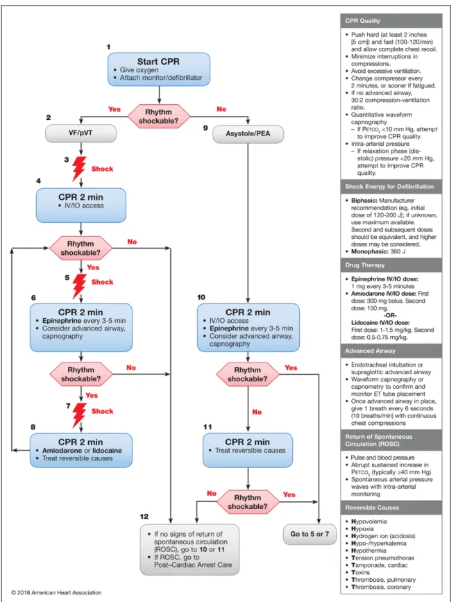 Figure 1. Adult Cardiac Arrest Algorithm—2018 Update.  