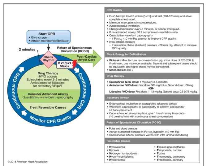 Figure 2. Adult Cardiac Arrest Circular Algorithm—2018 Update.  