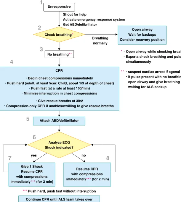 Figure 1. Basic life support for healthcare providers 