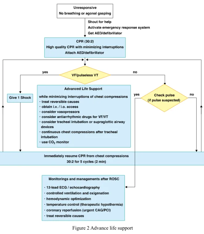 Figure 2 Advance life support 