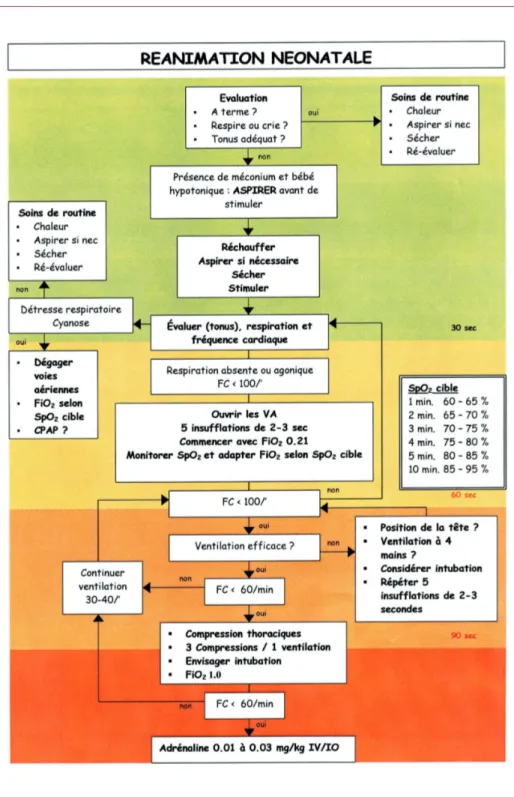 Figure 1 –  Réanimation néonatale (source ERC)