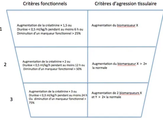 Figure 1. Exemple de possible future classification des AKI prenant en compte des critères  d’évaluation fonctionnels et des critères d’agression tissulaire