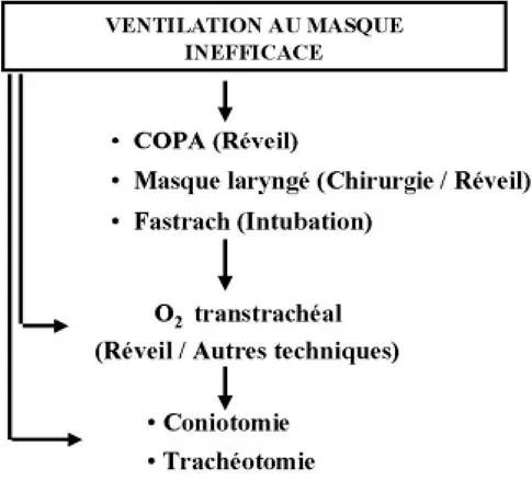 Fig. 2. Proposition d’algorithme simplifié devant une ventilation au masque inefficace