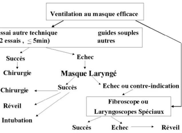 Fig. 3.  Algorithme de la SFAR devant une intubation difficile avec une ventilation au masque efficace