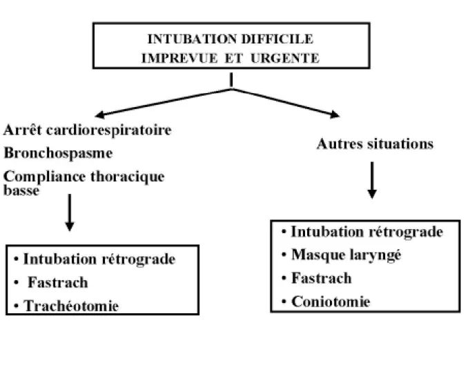 Fig. 5. Proposition d’algorithme simplifié devant une intubation difficile imprévue urgente (hypoxémie, détresse respiratoire)