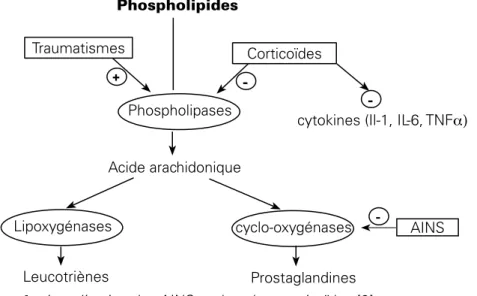 Figure 1 :  sites d’action des AINS et des glucocorticoïdes [9]