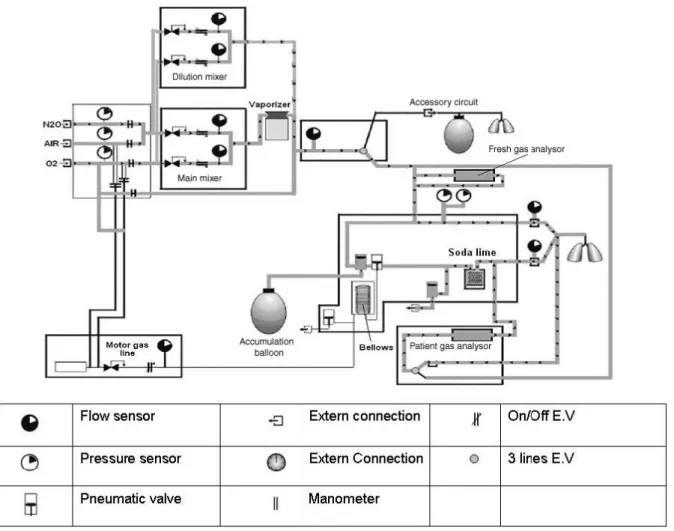 Figure 7. Schéma du circuit des gaz dans la station d’anesthésie FELIX ®  AInOC (d’après ) 