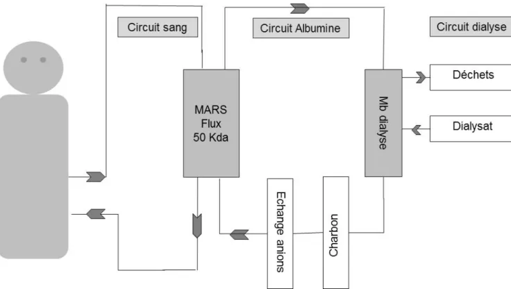 Figure 1.‐ Système Mars™              Le sang est dialysé contre une solution d’albumine à 14 %. La membrane autorise le passage  e  molécules  de  taille  inférieure  à  50  kDa.  Ce  dialysat  est  ensuite  épuré  en  dialyse  ou  émofiltration  conventi