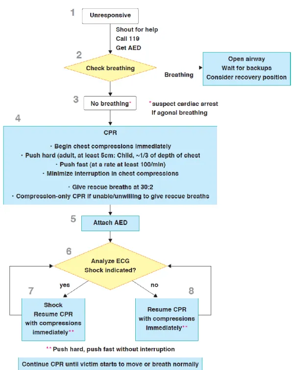 Fig 1 BLS algorithm for lay rescuers