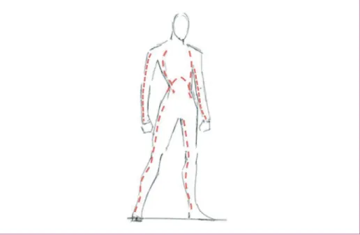 Figure 2 – Trajets proposés des escarrotomies en cas de brûlures circonférentielles de segments corporels
