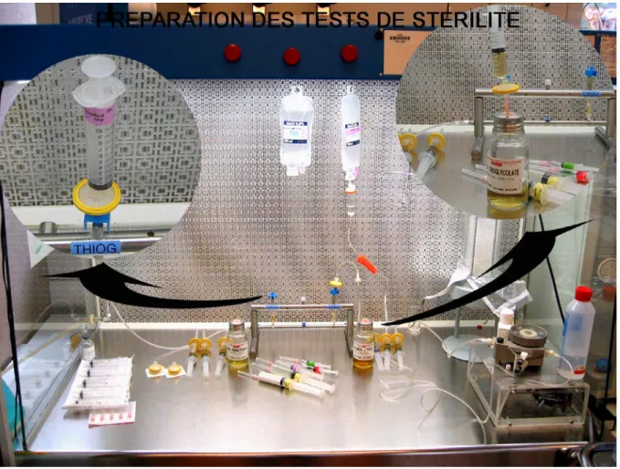 Figure 5.4. Environnement de préparation des tests de stérilité 