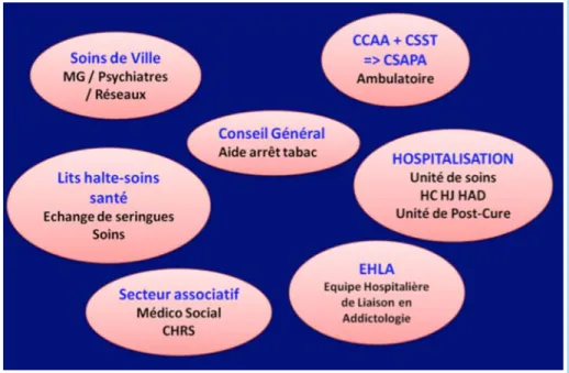 Figure 2 – Dispositif de soins en addictologie en France