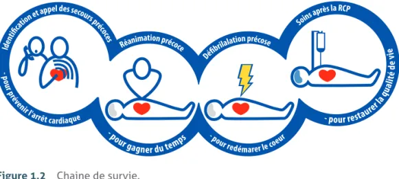 Figure 1.2   Chaine de survie.
