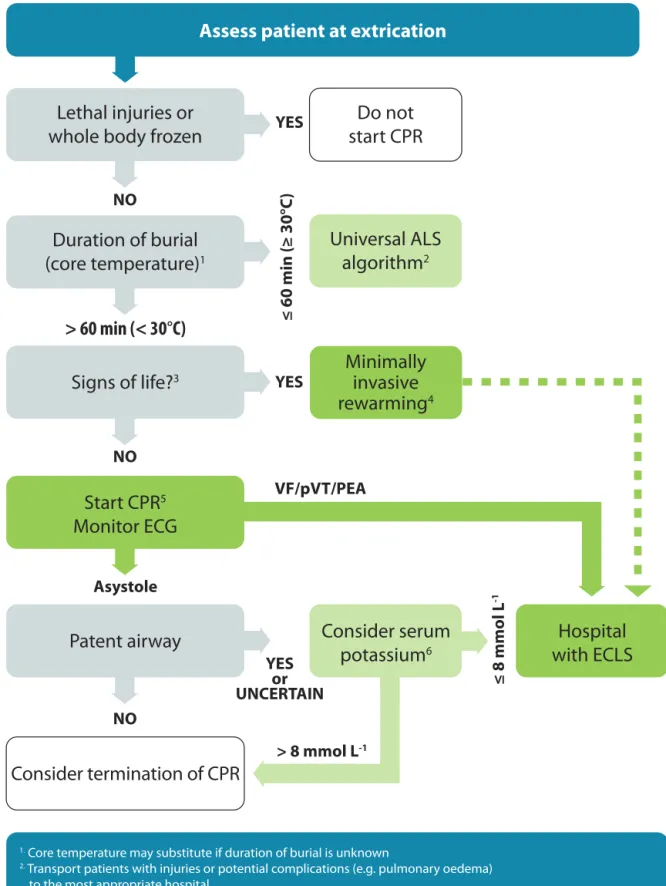 Fig. 1.14. Avalanche accident algorithm.