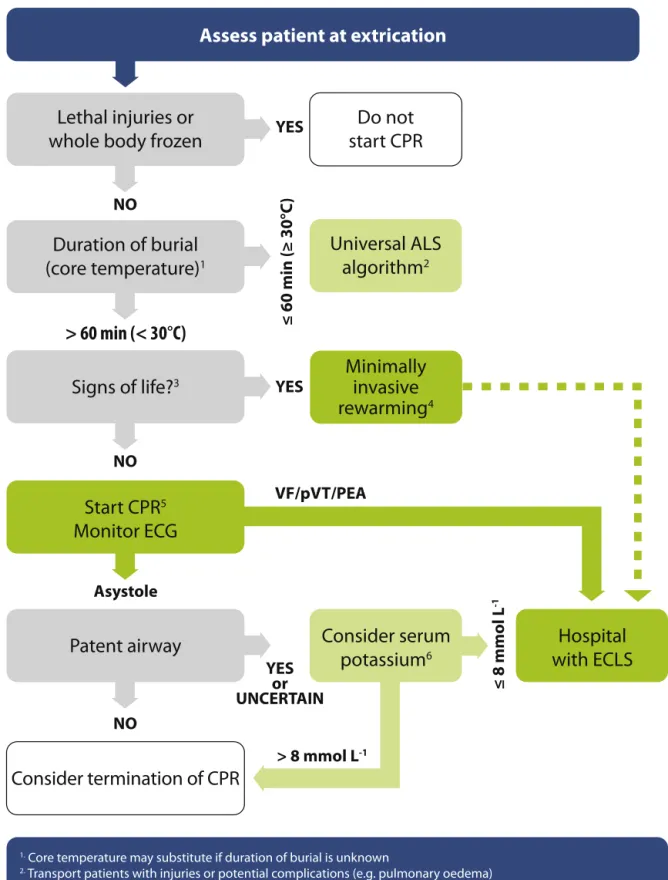Fig. 4.7. Avalanche accident algorithm. Management of completely buried victims. (ECLS, extracorporeal life support).