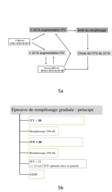 Figure 5. Principes de l’épreuve de remplissage graduée. 5a : Algorithme SFAR. 5b. Exemple  d’utilisation de l’épreuve de remplissage graduée