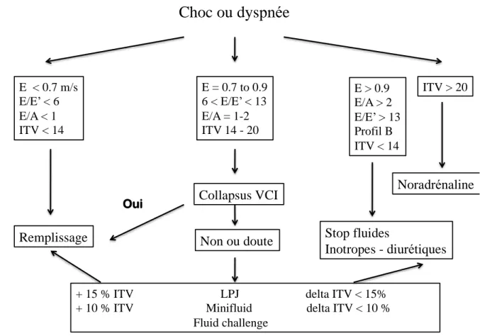 Figure 6. Proposition d’algorithme d’utilisation de l’échocardiographie pour guider le remplissage  vasculaire