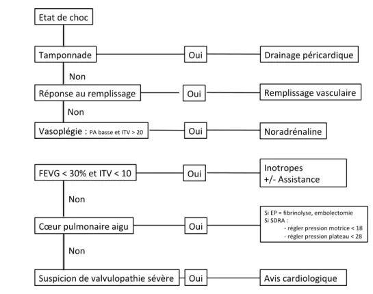 Figure  7 :  Schéma  général  d’utilisation  de  l’échocardiographie  au  cours  des  états  de  choc