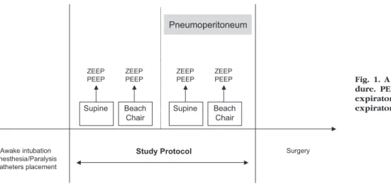 Fig. 1. A scheme of the protocol proce- proce-dure. PEEP ⴝ 10 cm H 2 O positive 