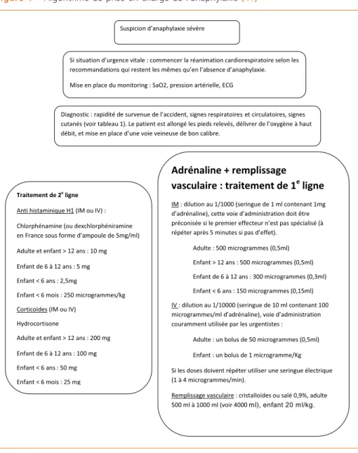 Figure 1 –  Algorithme de prise en charge de l’anaphylaxie  (41)