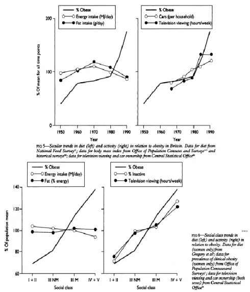 Figure 13 (Prentice, 1995) : A. Tendance séculaire de la relation obésité, alimentation  et activité  en Grande-Bretagne B