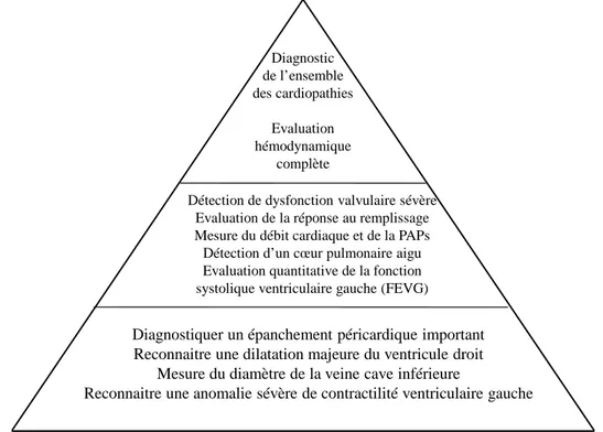 Figure 11 :  Pyramides des compétences d’échocardiographie en réanimation. Au sommet : opérateur 