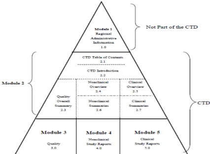 Graphique 2 :   représentation schématique du CTD 