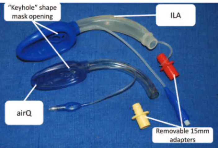 Figure 12. Pulmodyne Cobra PLA™ (Perilaryngeal Airway).