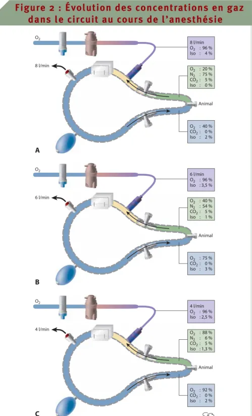 Figure 2 : Évolution des concentrations en gaz dans le circuit au cours de l’anesthésie