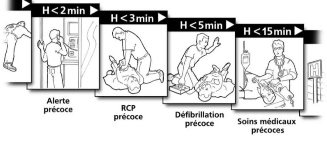 Figure 3 : La chaîne de survie