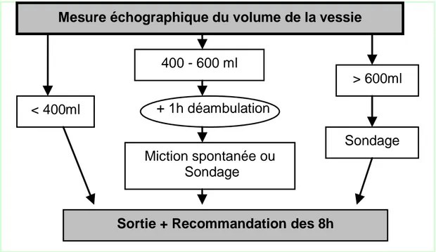 Figure 3 : Exemple d’algorithme décisionnel pour la prévention du risque de rétention aiguë 