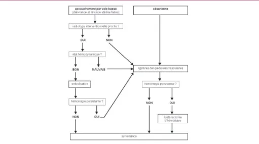 Figure 2 – Algorithme de prise en charge invasive d’une hémorragie du post-partum résistante aux médicaments et gestes obstétricaux initiaux